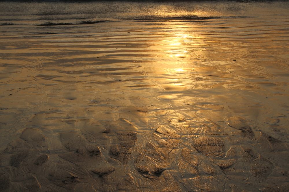 Золото заката