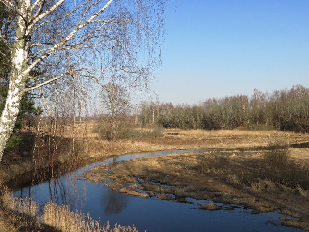 речка, небо голубое...