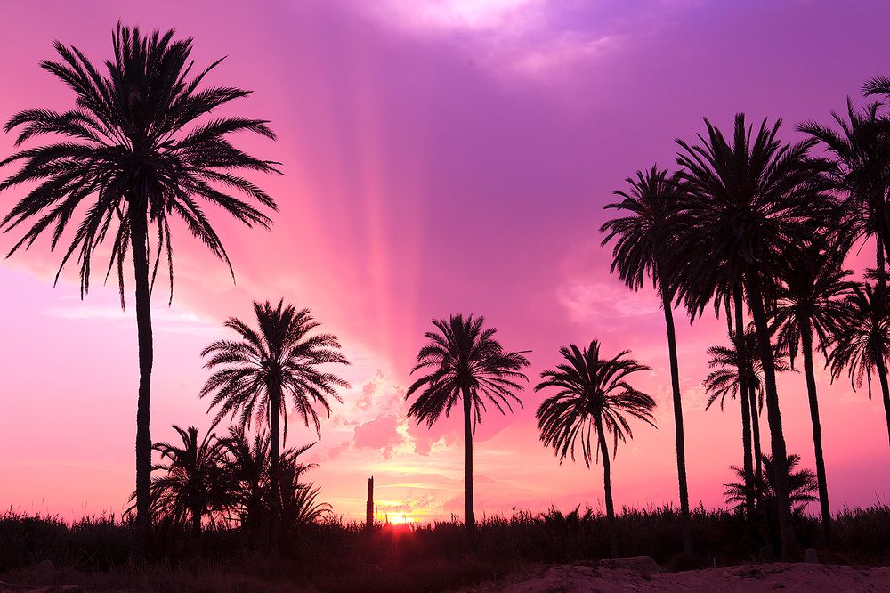 Фиолетовый закат