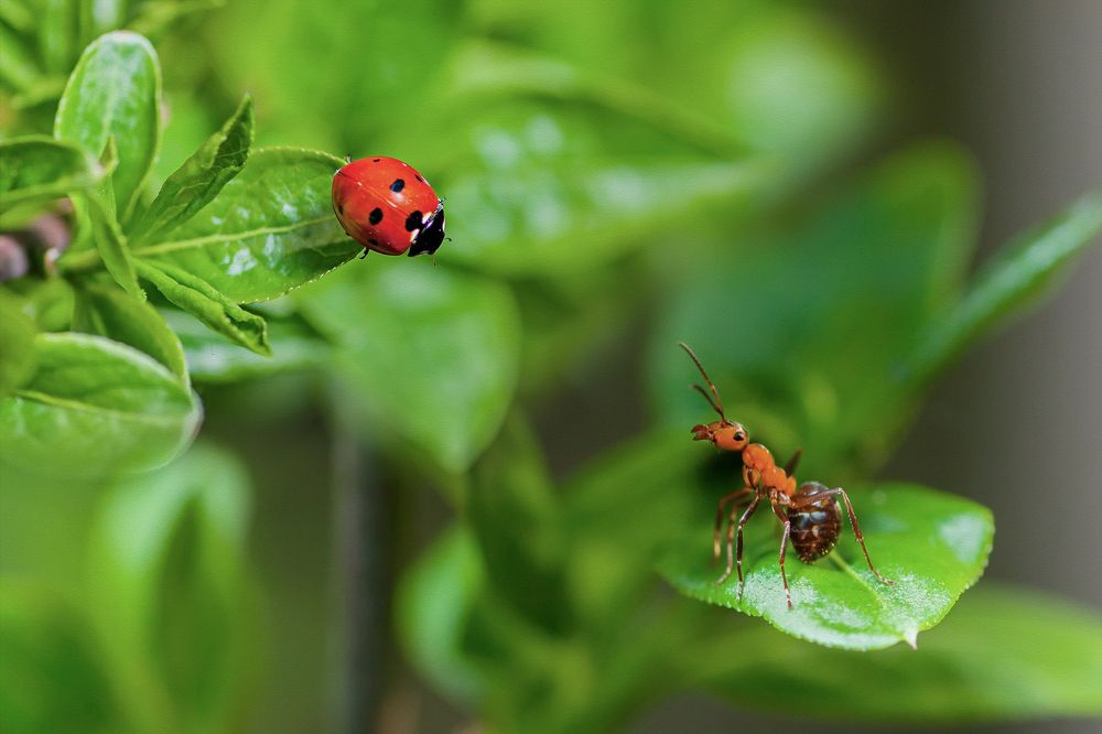 Photograph by Юрий Котов