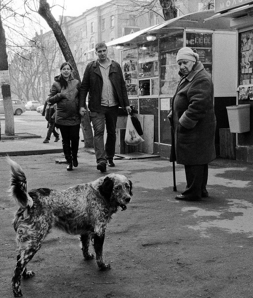 Утро в Калуге