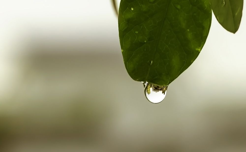 Rain Drop