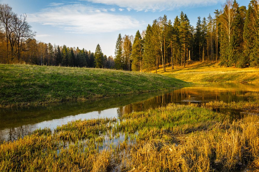 В Павловском парке.