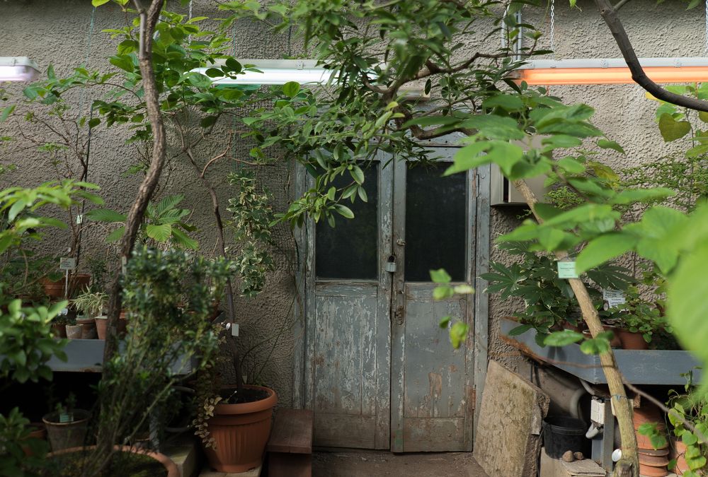 Door to the greenhouse