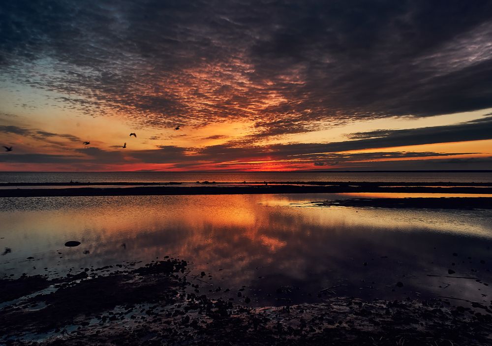 Весенний закат