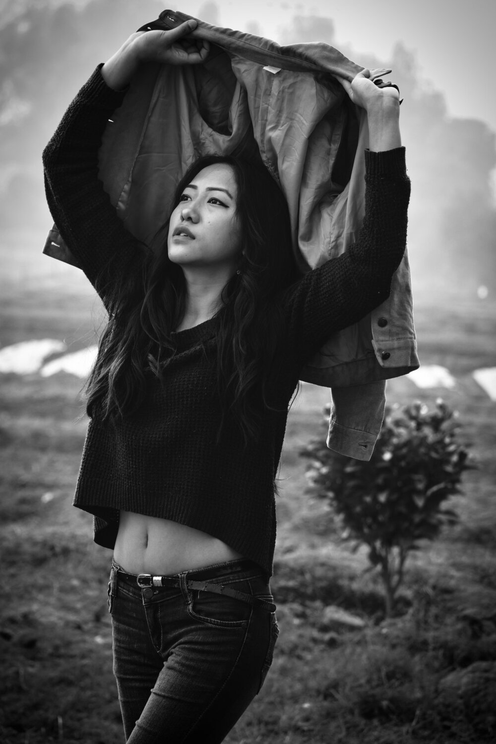 Rising from the ashes