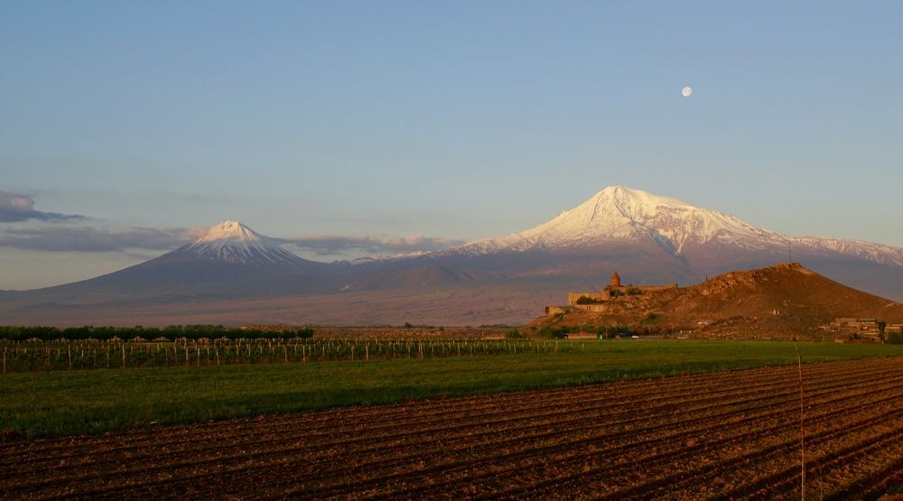 Арарат
