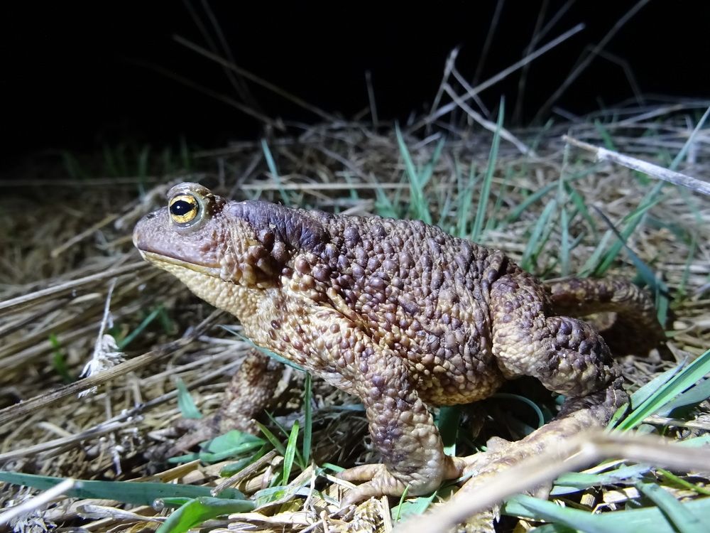 Photograph by Бочкарев Денис Александрович