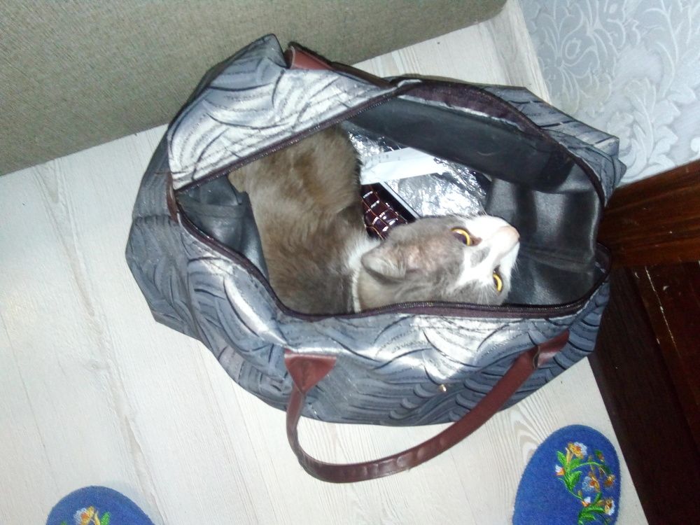 До подорожі готовий
