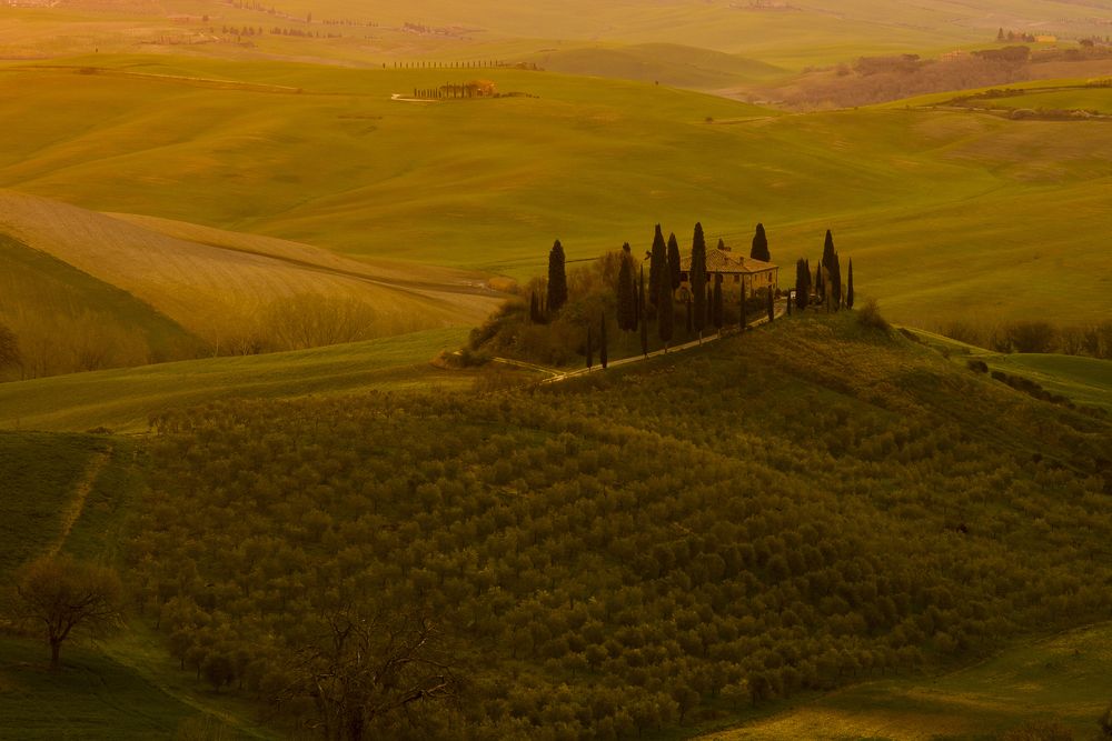 The solitude of nature