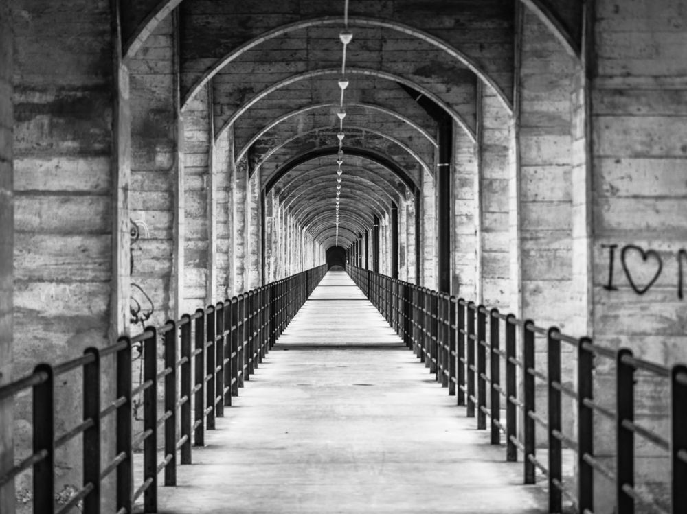 Tunnel under the Bridge