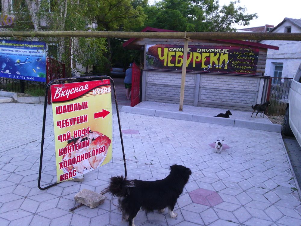 Догоняй-ка!