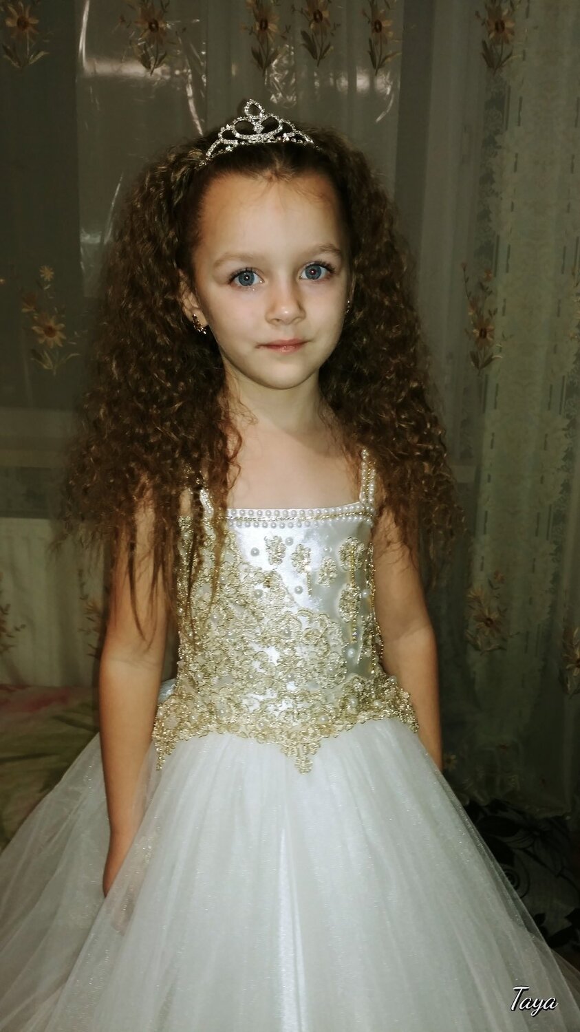 Photo #2315756