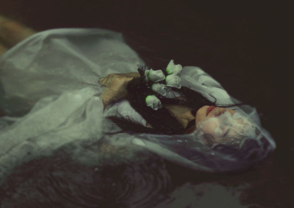 litle white flower will never awaken you