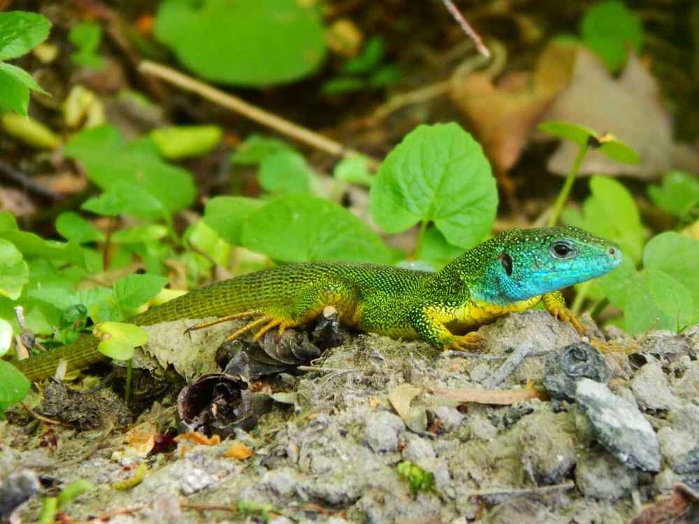 Photograph by Ульяна