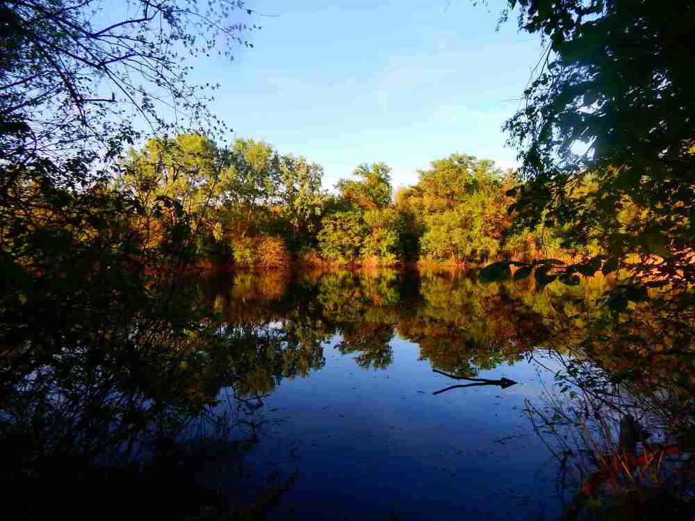 Весна пришла