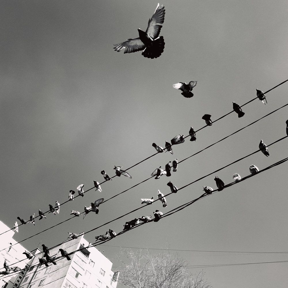 Photograph by Вадим Семенов