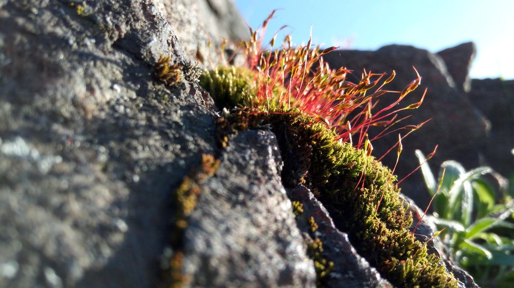 Фотография автора Александр Федоренко