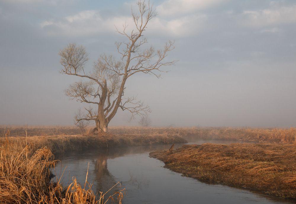 ранняя Весна