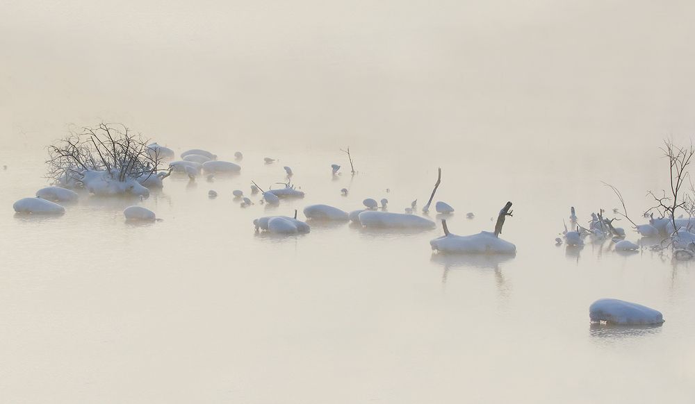 Всё в этом мире туманно