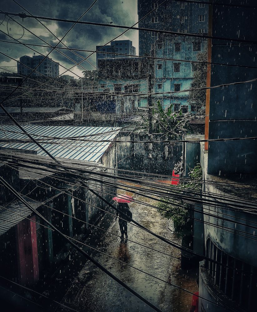 Urban Tears