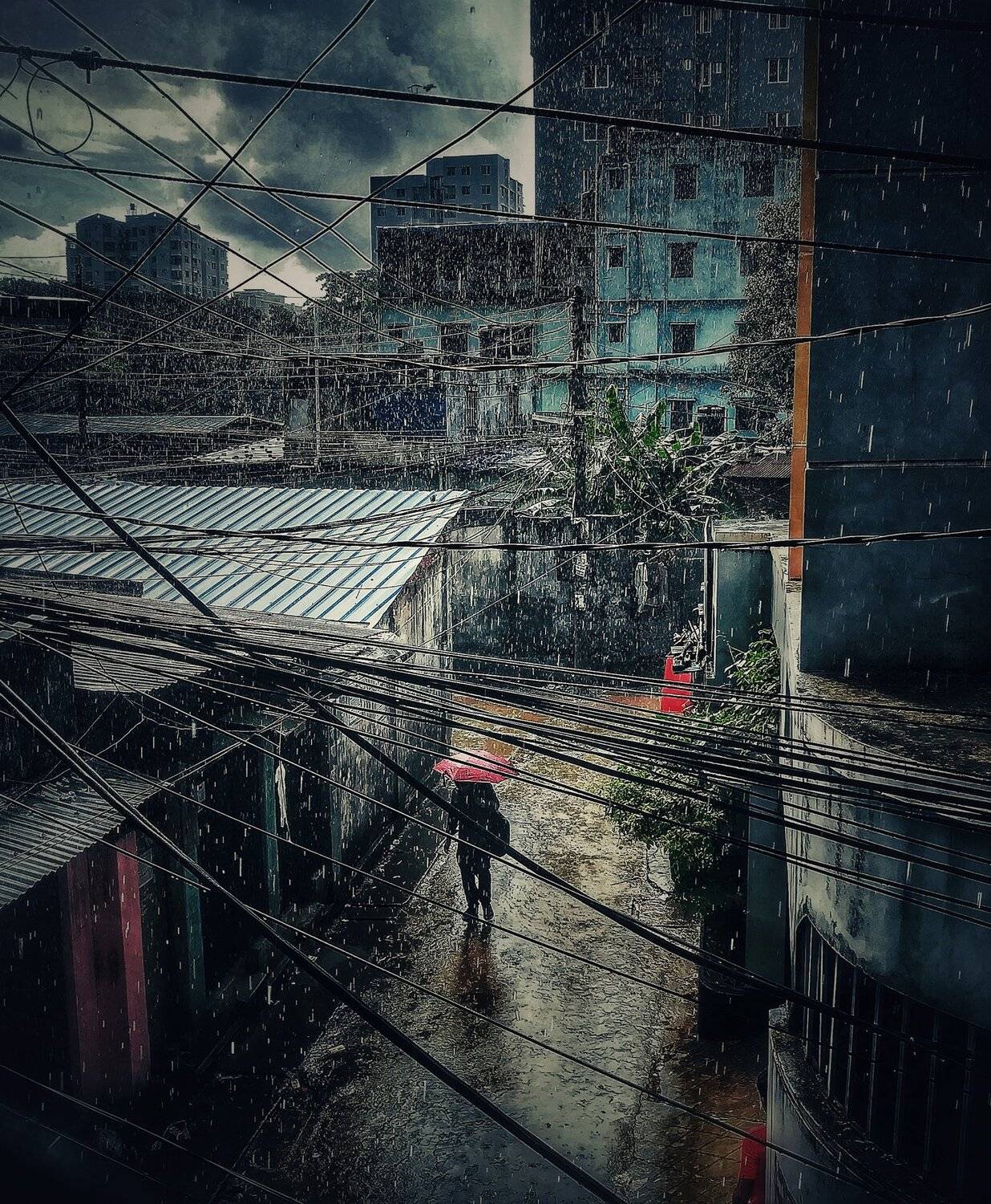 Urban Tears