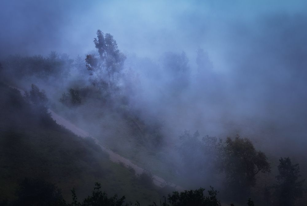 Mas allá de la neblina