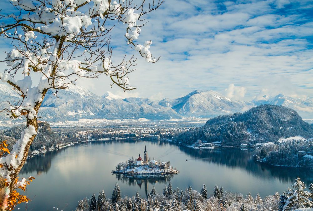 Bled lake