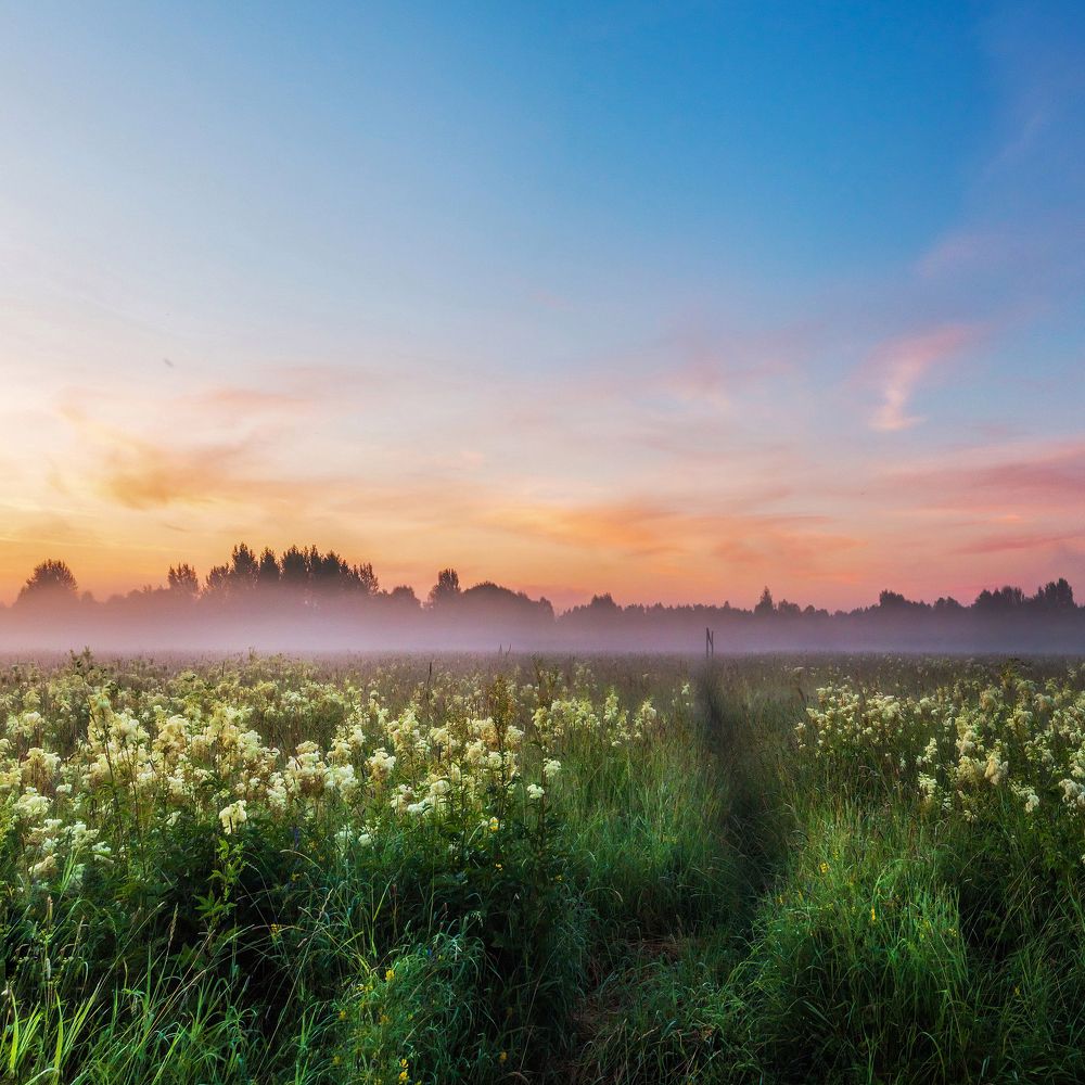 Рассвет у реки Вятки