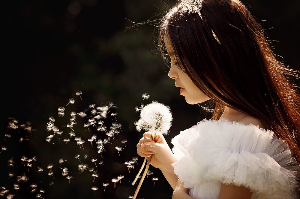 Загадала желание