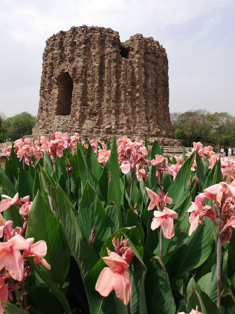 Qutub minar
