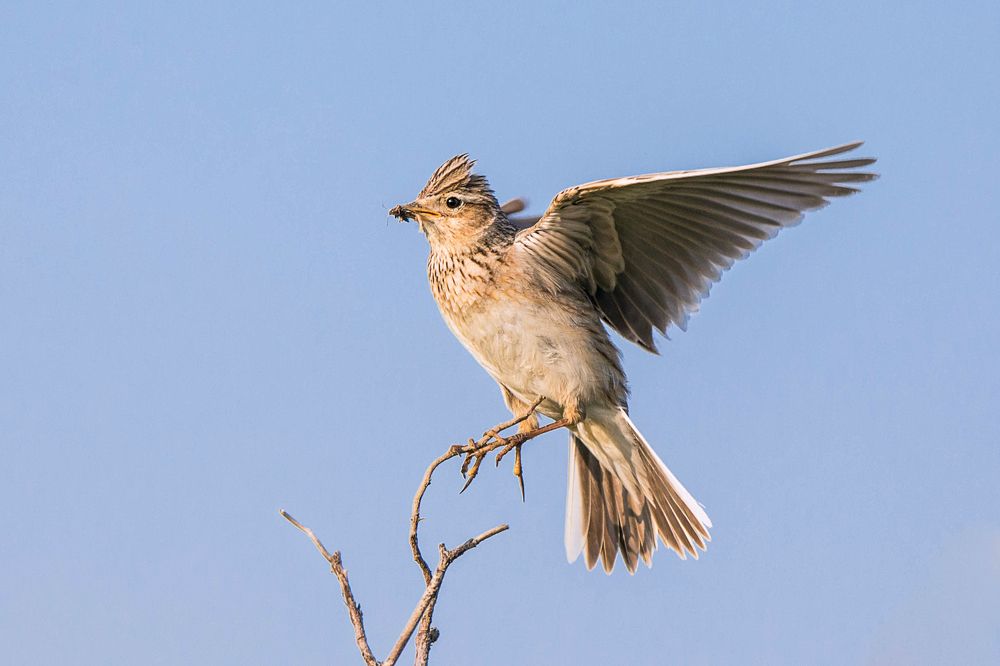 Фотография автора Irina