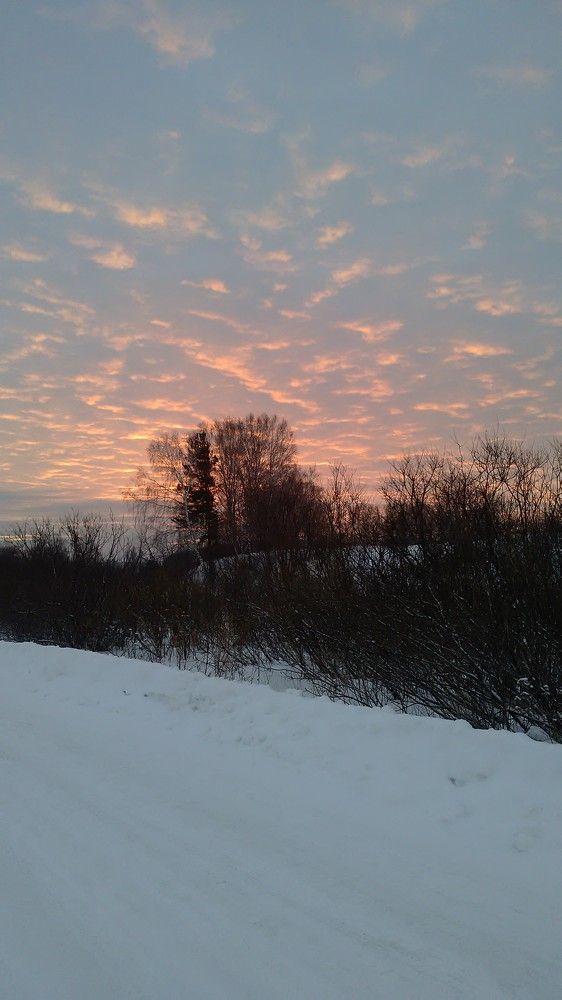 Beautiful morning.