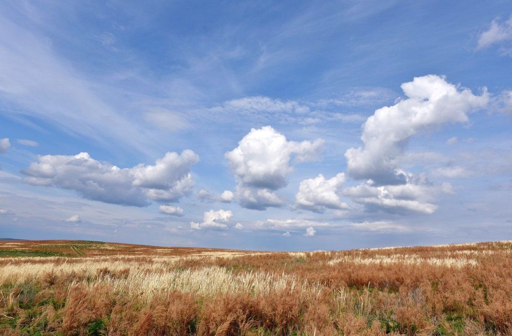 Невесомость