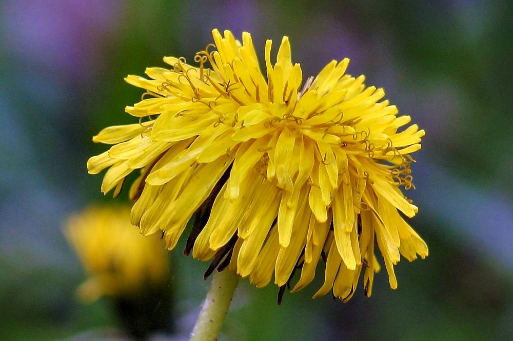 Photograph by вадим аврахов