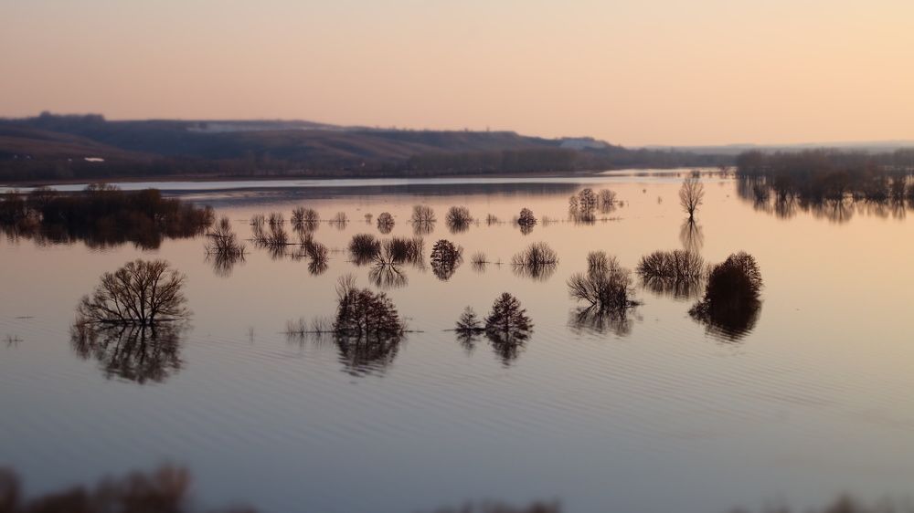 Photograph by Anna Pankratova