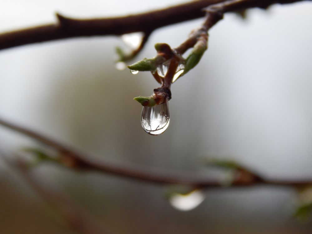 Мир в капле