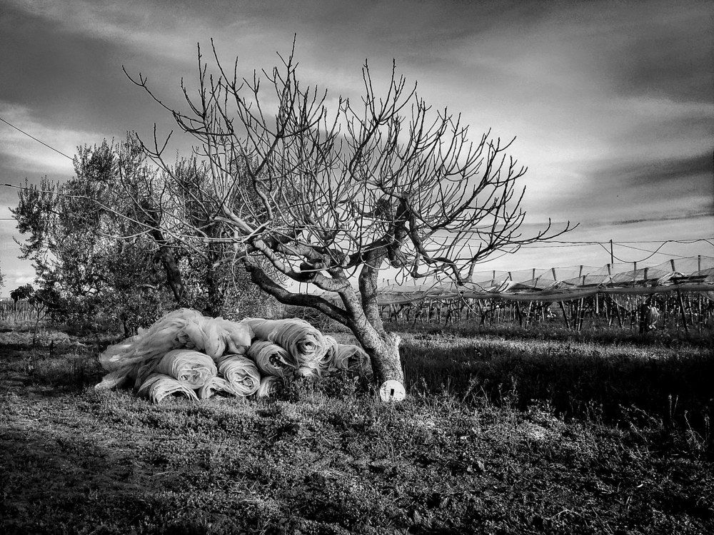 abandoned country