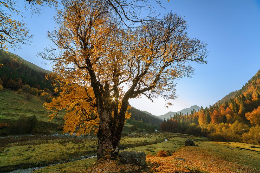 Абхазия. Страна Души.