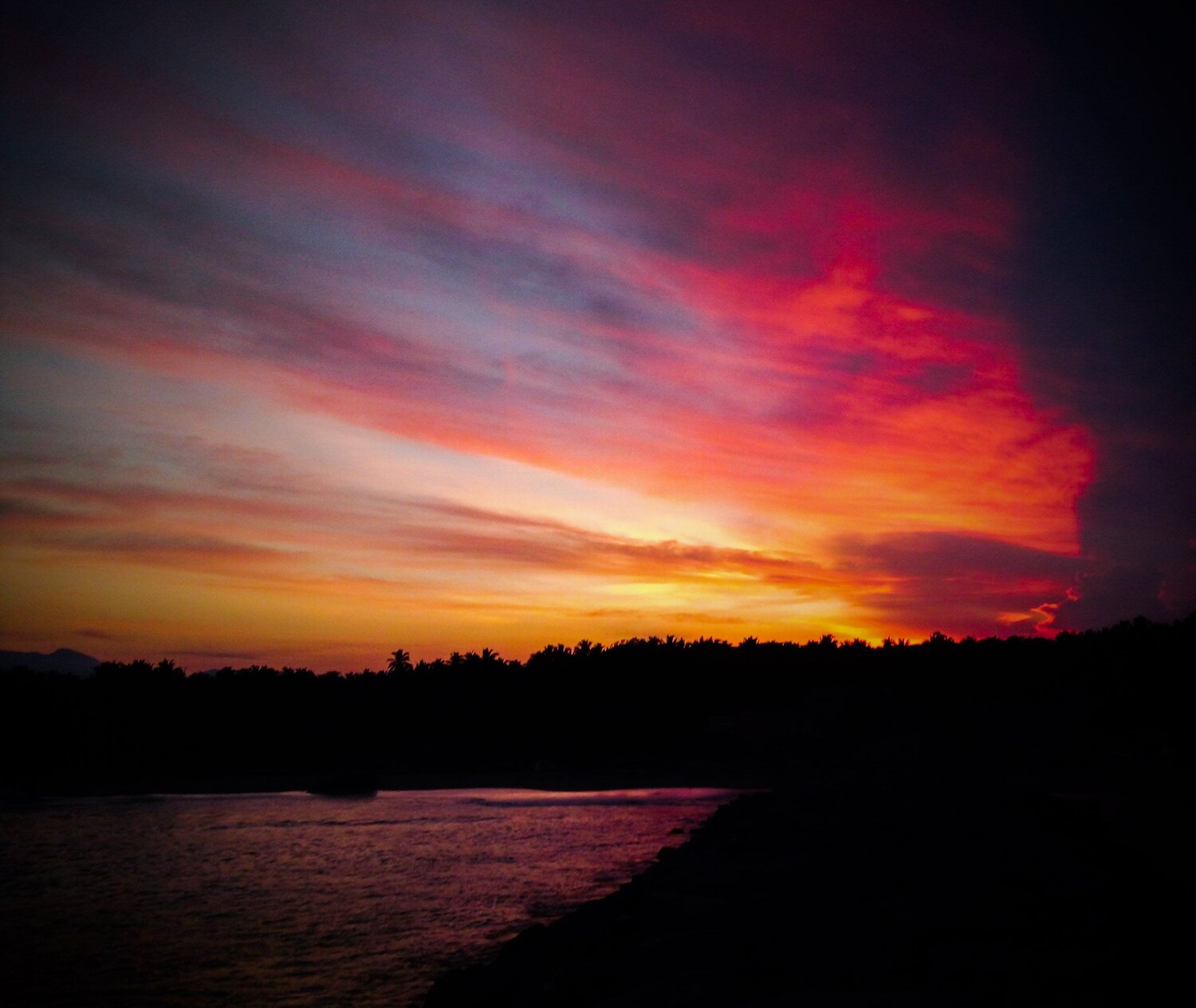 Photo #2317566
