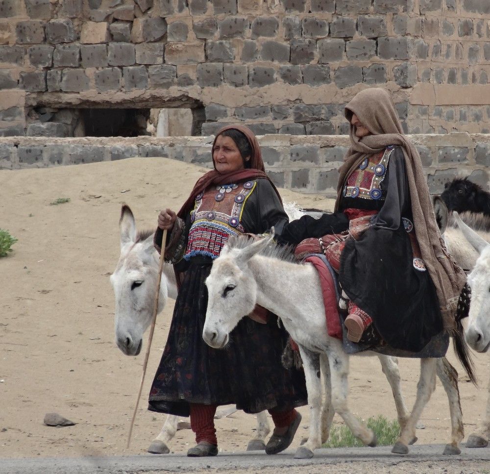 Nomads Caravan