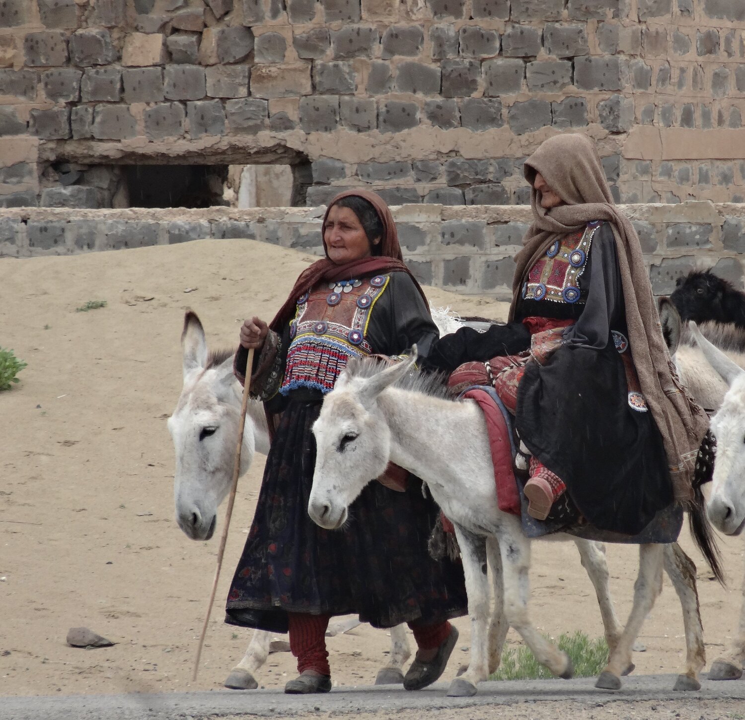 Nomads Caravan
