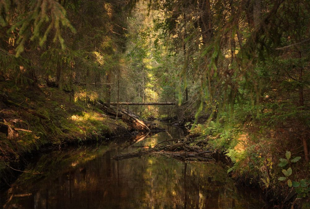 Photograph by Алексей Герасимов