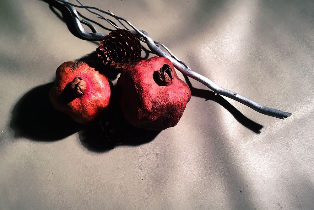 Photograph by Ruzanna