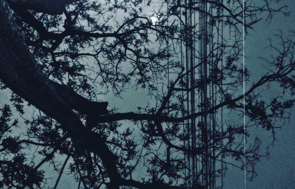 Lost in the Moonlight