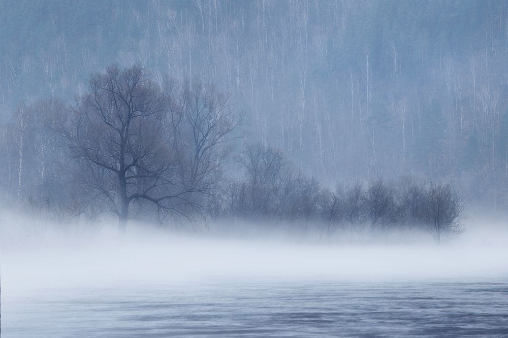 Туманные берега