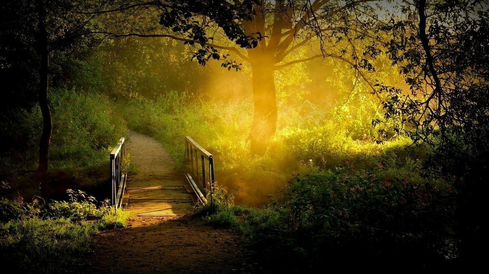 А будь с пилонами мосток .....