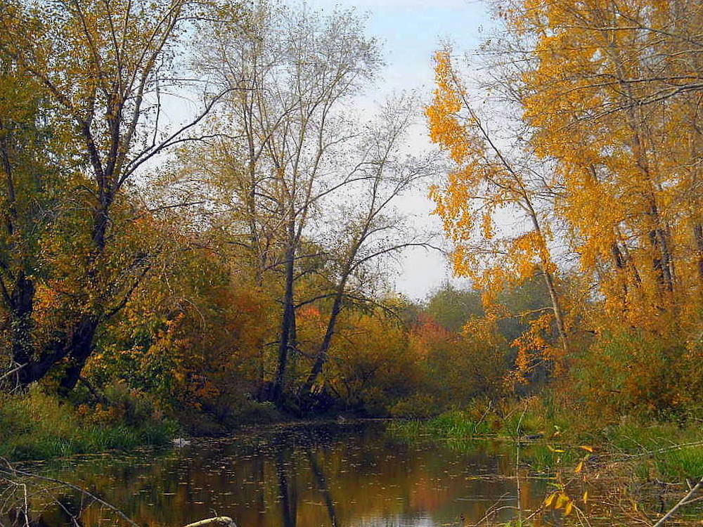 Уральская осень