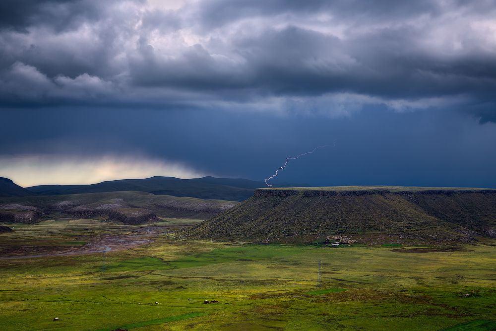 Expresiones de la Naturaleza