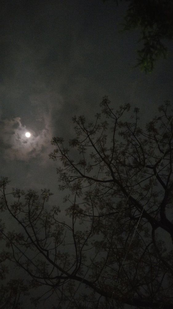 moon's reflection